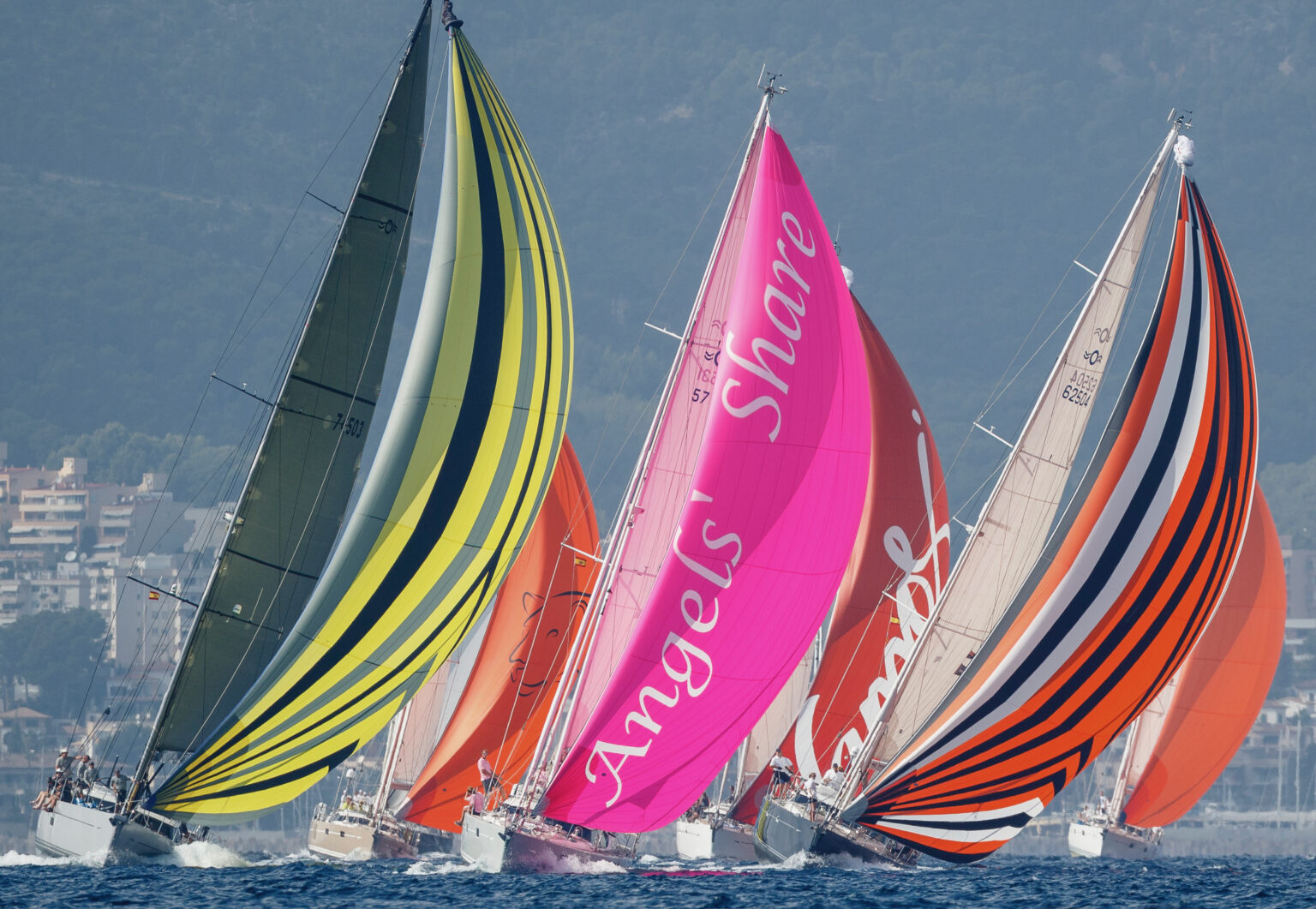 Vortex Yat Vortec Marine - New Yacht Sales | Brokerage | Repair & Refit
