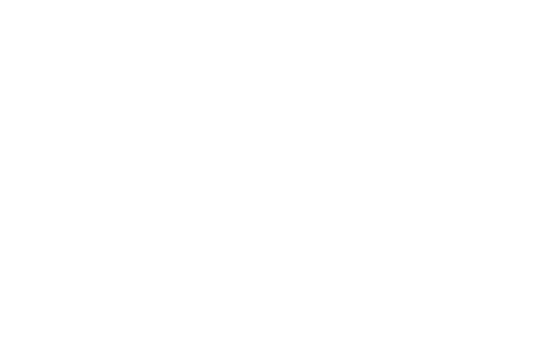 Viggo Boats